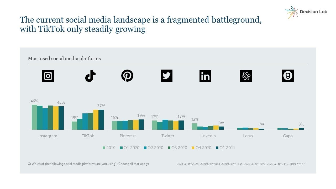 Vietnam Marketing_12_TikTok Usage.jpg